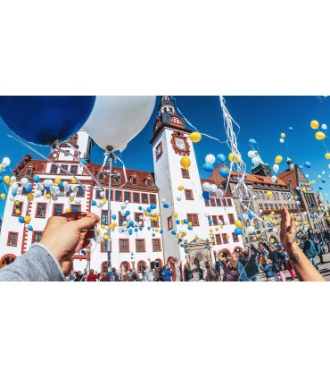 GoPro peakinnitusrihm Head Strap 2.0 (2025)