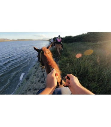 GoPro peakinnitusrihm Head Strap 2.0 (2025)