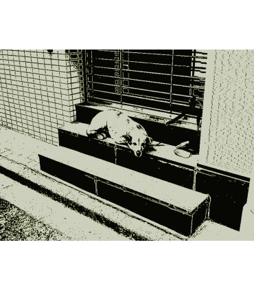 Kodak Charmera Keychain Blind Box