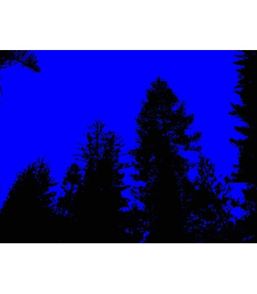 Kodak Charmera Keychain Blind Box