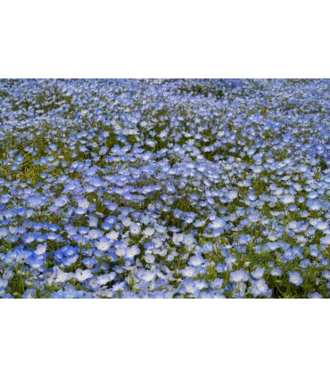 Tamron 70-180mm f/2.8 Di III VC VXD G2 objektiiv Nikonile