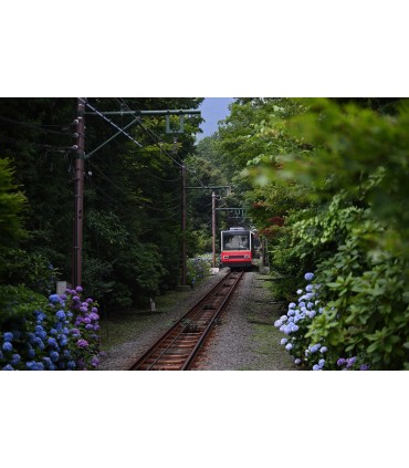 Tamron 70-180mm f/2.8 Di III VC VXD G2 objektiiv Nikonile