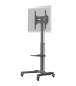 Goobay Floor stand TV Presentation Stand Basic, Size L 37-70"