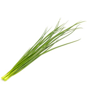 Click & Grow Smart Garden Refill Roheline sibul 3tk