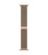 Apple 42mm Gold Milanese Loop