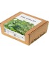 Click & Grow Plant Pod Asian Greens Mix 9tk