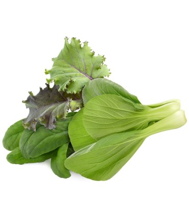 Click & Grow Plant Pod Asian Greens Mix 9tk