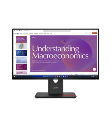 Lenovo ThinkVision T24D-40 23,8"