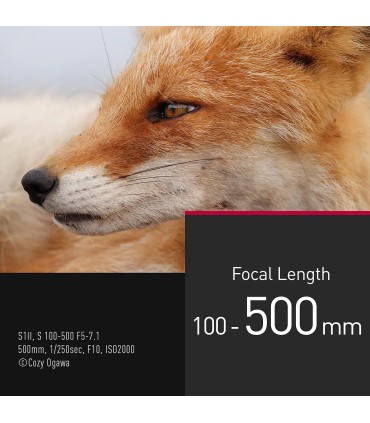 Panasonic Lumix S 100-500mm f/5.0-7.1 O.I.S. objektiiv