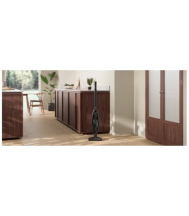 Electrolux ES31CB18GG 300 seeria, 2in1
