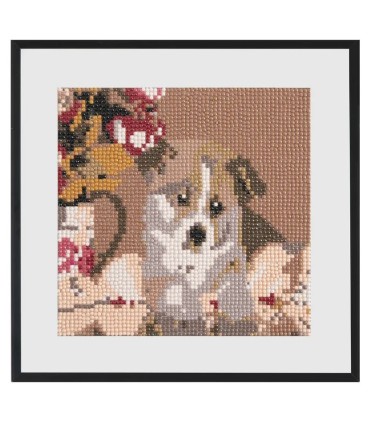 Teemanditikand Corgi 20 x 20 cm