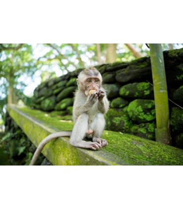 Tamron 25-200mm f/2.8-5.6 Di III VXD G2 objektiiv Sonyle