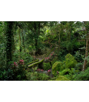 Tamron 25-200mm f/2.8-5.6 Di III VXD G2 objektiiv Sonyle