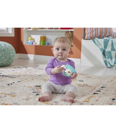 Fisher-Price® loomateemalised kõrinad