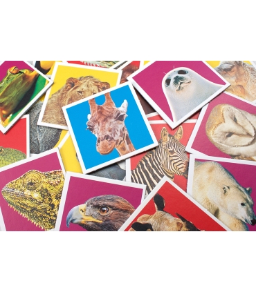 Tactic memo Metsloomad