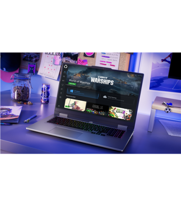 Lenovo LOQ 17IRX10 17,3" i5, 16GB, 1TB SSD