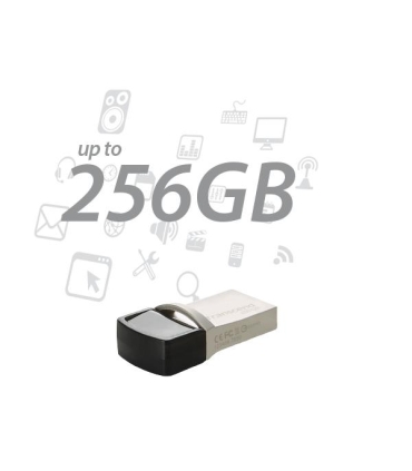 Transcend Memory Drive Flash 256GB TS256GJF890S