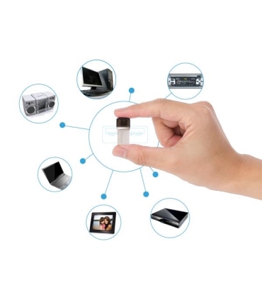 Transcend Memory Drive Flash 256GB TS256GJF890S