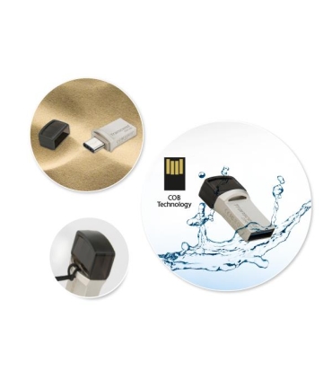 Transcend Memory Drive Flash 256GB TS256GJF890S