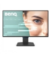 BenQ GW2490C 24"