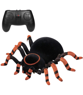 Seina peal roniv Wroow Spiooniämblik