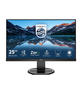 Philips 252B9/00 25"