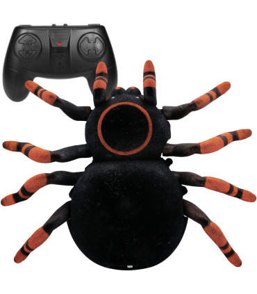 Seina peal roniv Wroow Spiooniämblik