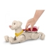 Fisher-Price DC Leaguse koer heliga 35,5 cm