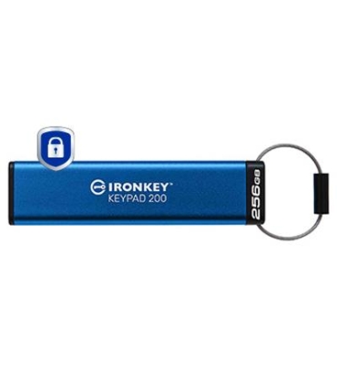 Kingston Memory Drive Flash 256GB IKKP200/256GB