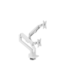 Arozzi Desk Mount Neo Duo - Gas Spring Monitor Arm AZ-ALZARE-NEO-DUO-WT