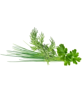 Click & Grow Plant Pod Classic Garnish Mix 9tk