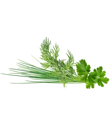 Click & Grow Plant Pod Classic Garnish Mix 9tk