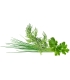 Click & Grow Plant Pod Classic Garnish Mix 9tk