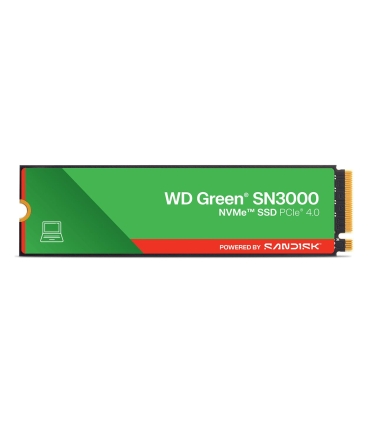 Sandisk 1TB SSD WDS100T4G1E-00CPS0