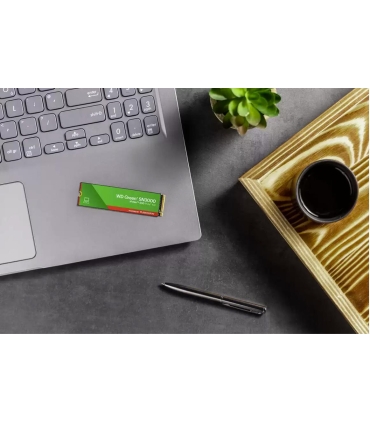 Sandisk 1TB SSD WDS100T4G1E-00CPS0