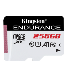 Kingston Endurance 95R 256GB