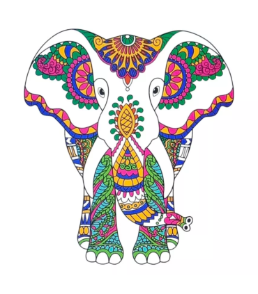 Joonistuskomplekt Loomad, 4 postrit