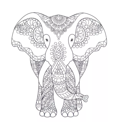 Joonistuskomplekt Loomad, 4 postrit