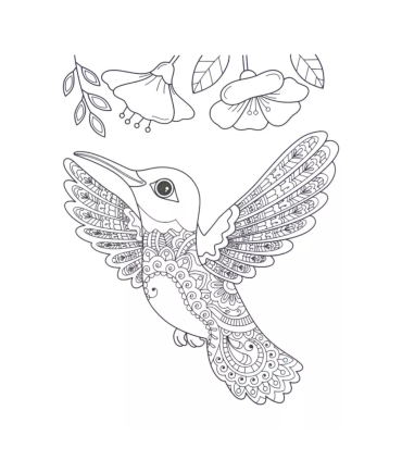 Joonistuskomplekt Lind, 4 postrit