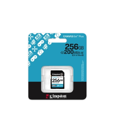 Kingston Memory SDXC 256GB