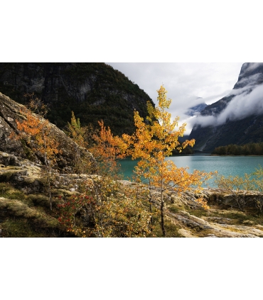 Tamron 11-20mm f/2.8 Di III-A RXD objektiiv Canon RF