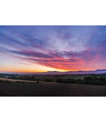 Tamron 20mm f/2.8 Di III OSD objektiiv Sonyle