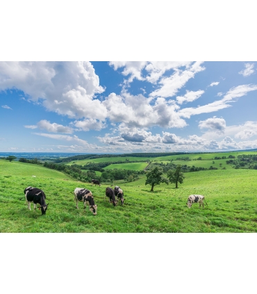 Tamron 20mm f/2.8 Di III OSD objektiiv Sonyle