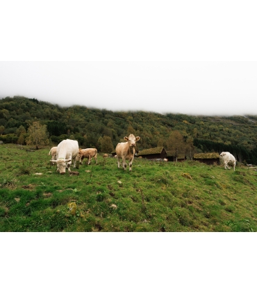 Tamron 11-20mm f/2.8 Di III-A RXD objektiiv Canon RF