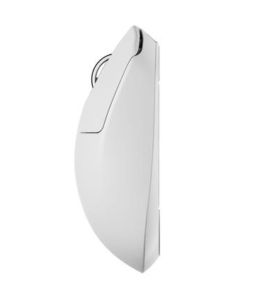 P X3/Size1 valge PX3R12