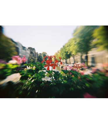 Ilford Pixie 35-II, must