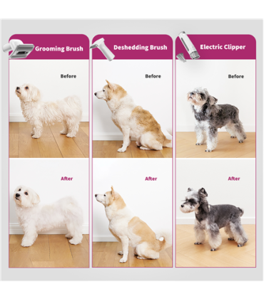 PETKIT Air Clipper Pet Grooming Vacuum Kit 5in1 LM4