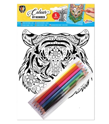 Grafix värvi numbri järgi + 6 pliiatsit, erinevad