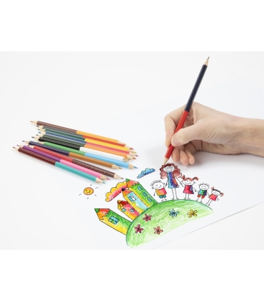 Värvipliiatsid kahepoolsed 12 tk