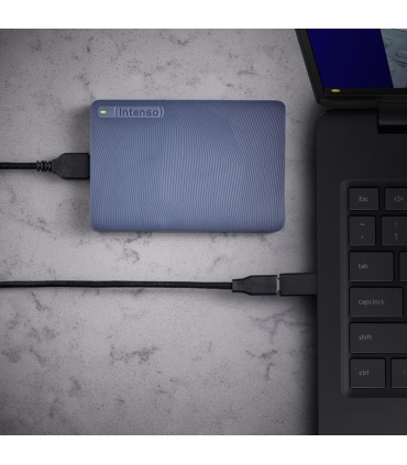 Intenso 1TB HDD 6029565